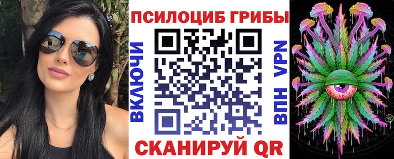 Псилоцибиновые грибы Psilocybe Люберцы