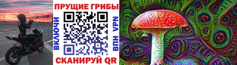 МЕГА ссылка  купить наркотики сайты  нарко площадка наркотические препараты  Галлюциногенные грибы Cubensis  Люберцы 